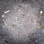 Leon Goebel - @goebel_leon - Instagram