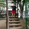leopoldo goebel de Oliveira Rodrigues - @leopoldogoebel - TikTok
