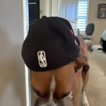 Leo haber - @leonmonkey21 - Instagram