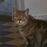 Leo Haberthür - @leohaberthuer - Instagram