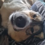 @hackett_leo - Instagram