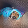 Leo_Lmb - @leo_hackett15 - TikTok