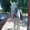 Leo Hadley658 - @leohadley1 - TikTok