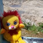 Leo Hadley - @leothelionontour - Instagram