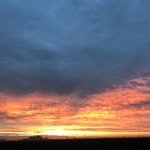 Leonard Haggerty - @leonard.haggerty.31 - Instagram