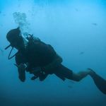 Leo Hammarstrand - @leohammarstrand - Instagram