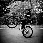 Leo Henderson - @leohenderson2012 - Instagram