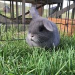 Leo James Hewitt🐰 - @leo_hewitt - Instagram
