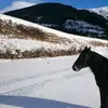 Leonie Hofer678 - @leohofer34 - TikTok