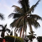 leo - @_leo_holder - Instagram