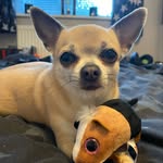 Leoholder - @leoholder7 - Instagram