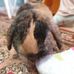Leo Holmes - Facebook