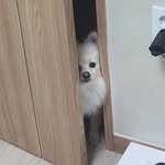 Leo. Hong. - @hong_leo._.0530 - Instagram