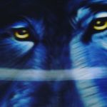 Leo Hooper - @hooper_leo1234 - Instagram
