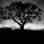 @leo_hooper_photography - Instagram
