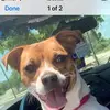 leohooper - @leohooper - TikTok