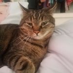leo james howell - @leojameshowell - Instagram