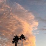 @leohowell - Instagram