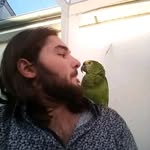 leo Hubert anthor - @leohubertanthor - Instagram