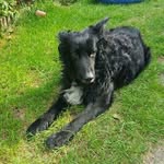 Leo Humphries - @leoh1511 - Instagram