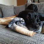 Leo Humphries - @humphries5493 - Instagram
