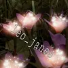 Challenges🌸🌷 - @leo_janes - TikTok