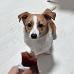 @leojeng14 - Instagram