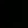 Leo Kammerer - @leokammerer - TikTok