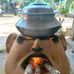 Leo Kasson - Facebook