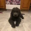 .Leo.Kelly - @.leo.kelly - TikTok