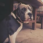 Leon Kerner - @kernerleon - Instagram
