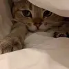 Leo - @leo.koenig - TikTok