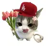 @ohkar - @leokriz55 - TikTok