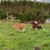 leo_kuhn - @leonardokuhn08 - TikTok