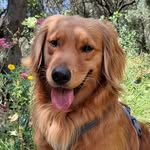 Léo - @la.belle.vie.de.leo - Instagram