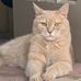 Leo Landry - Facebook