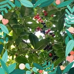 Leonora Casimiro Langford - @maleonoralangford - Instagram