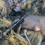 Leo larson - @leolarson44 - Instagram