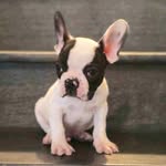 Leo (Owen) Larson - @leo.owen.larson - Instagram
