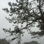 lawlessleo - @lawlessleo - Instagram