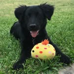Leo LeBeaulab - @leolebeaulab - Instagram
