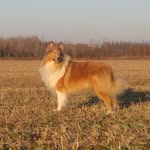 leo - @leo_le_beau - Instagram