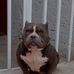 Leonel Leo - Facebook