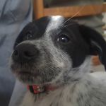 leo ledoux - @leo_ledoux36 - Instagram