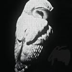 Léo Lemaitre - @leo.lemaitre.17 - Instagram