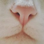 Leo - @leo__leone - Instagram
