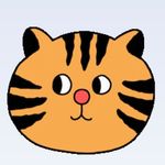 LEO - @leo_leone_gatto - Instagram
