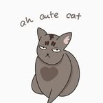 Leo Leong - @ah_cute_cat - Instagram