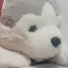 Leo Leong - @leo.leong51 - TikTok
