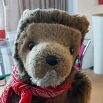 Leo Lion - @leo_lion_plushie - Instagram